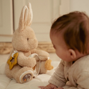 0029794_activiteitenknuffel-konijn-zand-baby-bunny.jpg.webp