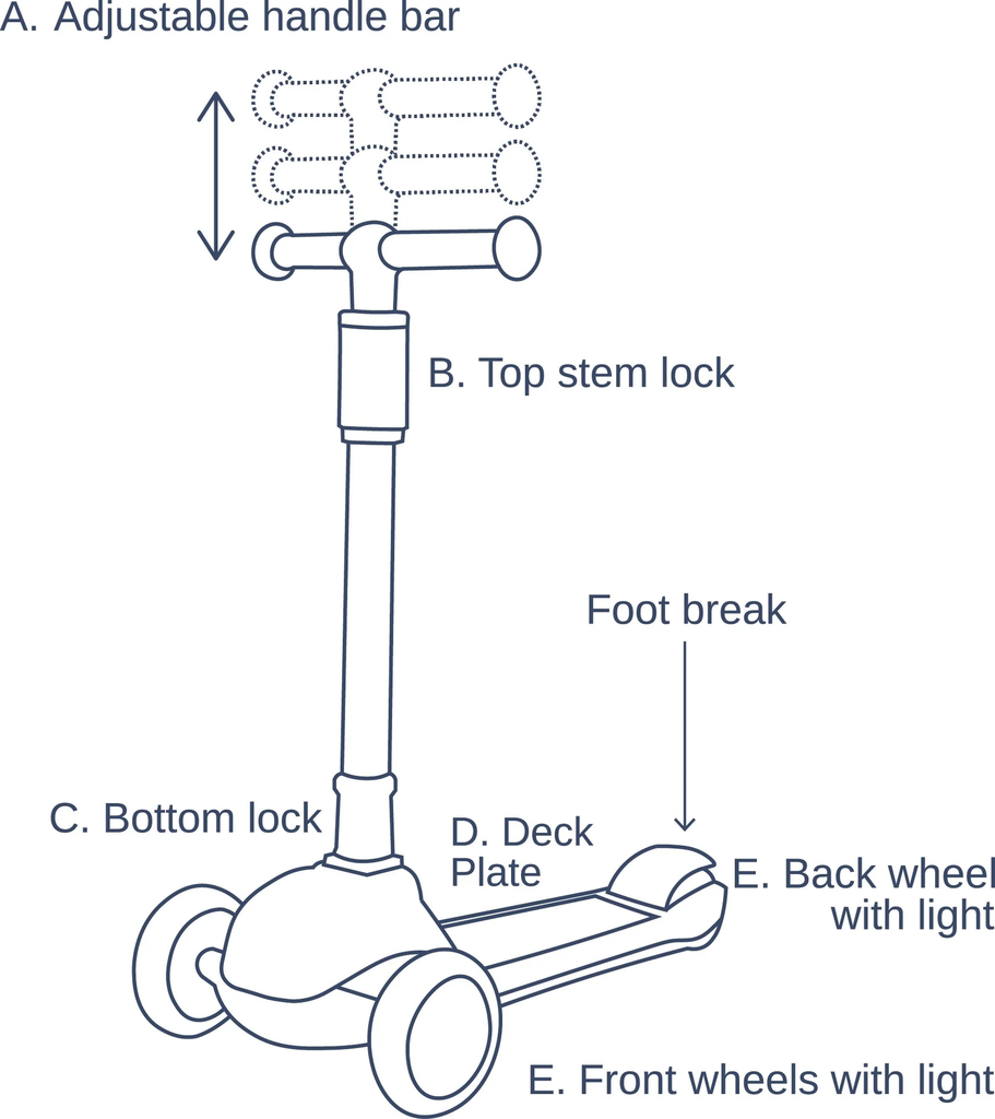 SCOO5725.jpg.webp