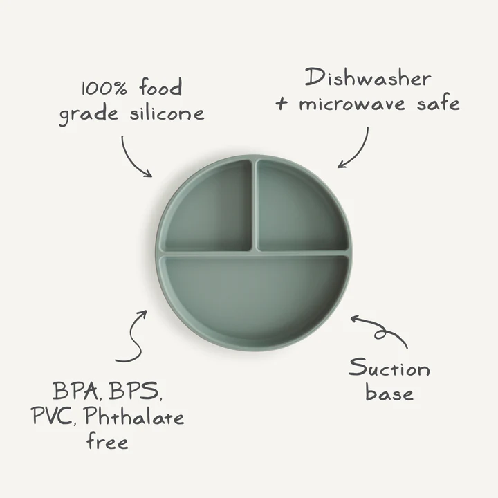siliconeplate.info.jpg.webp