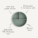 siliconeplate.info.jpg.webp