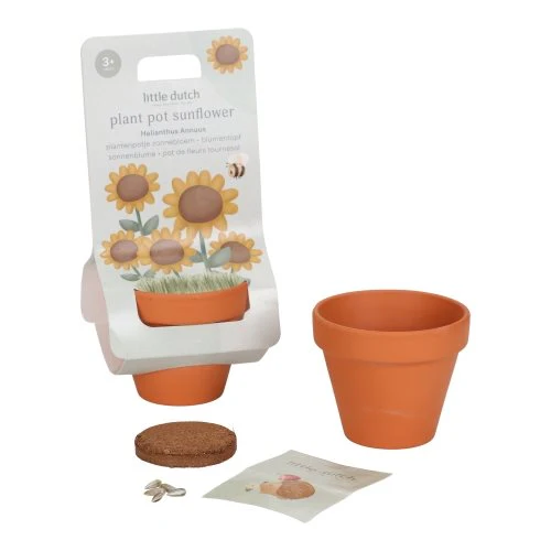 Little Dutch Plant Pot Sunflower 