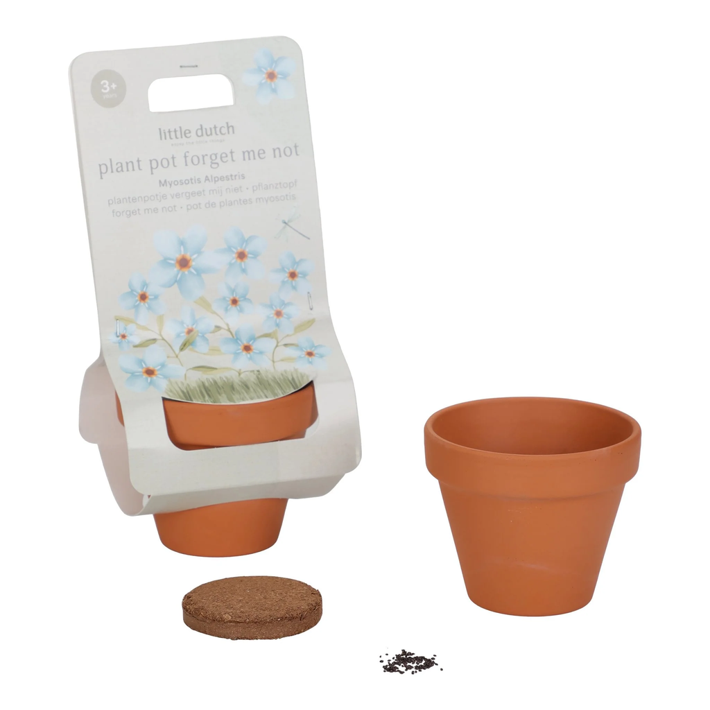 Little Dutch Plant Pot Forget me not 