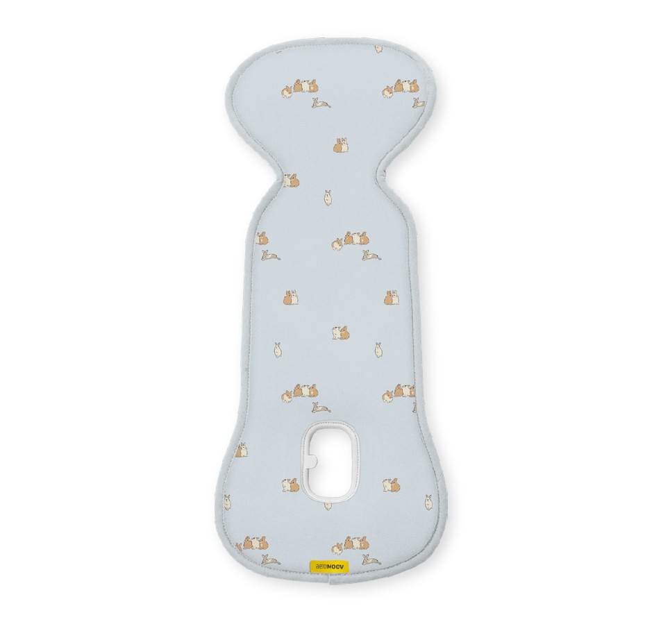 Aeromoov (0-13 Kg) Group 0 Bunny Limited 