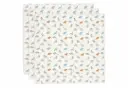 Jollein Cloth Muslin 70x70cm - Roarsome - 3 Pack