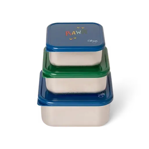 CITRON Stainless Steel Nesting Stackable Lunchbox - Dino