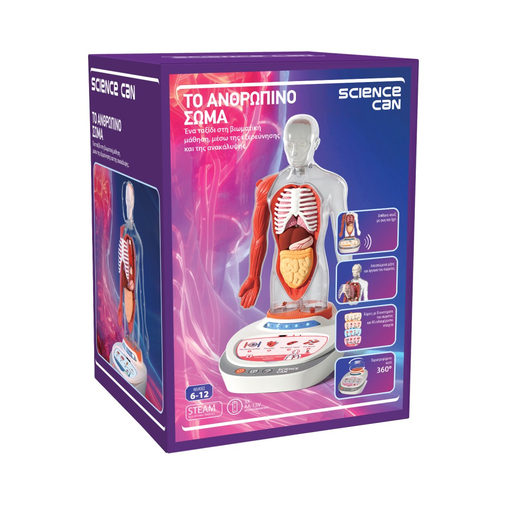 Το ανθρώπινο σώμα 