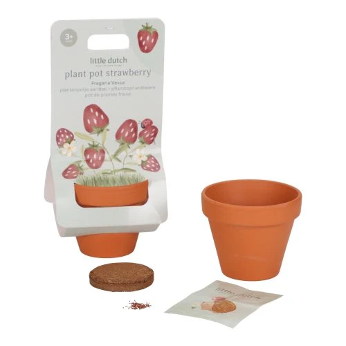 Little Dutch Plant Pot Strawberries 