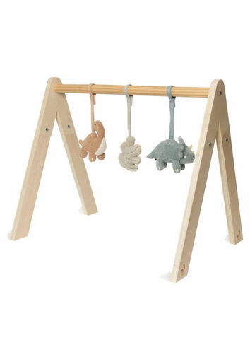 Baby Gym Toys Roarsome 